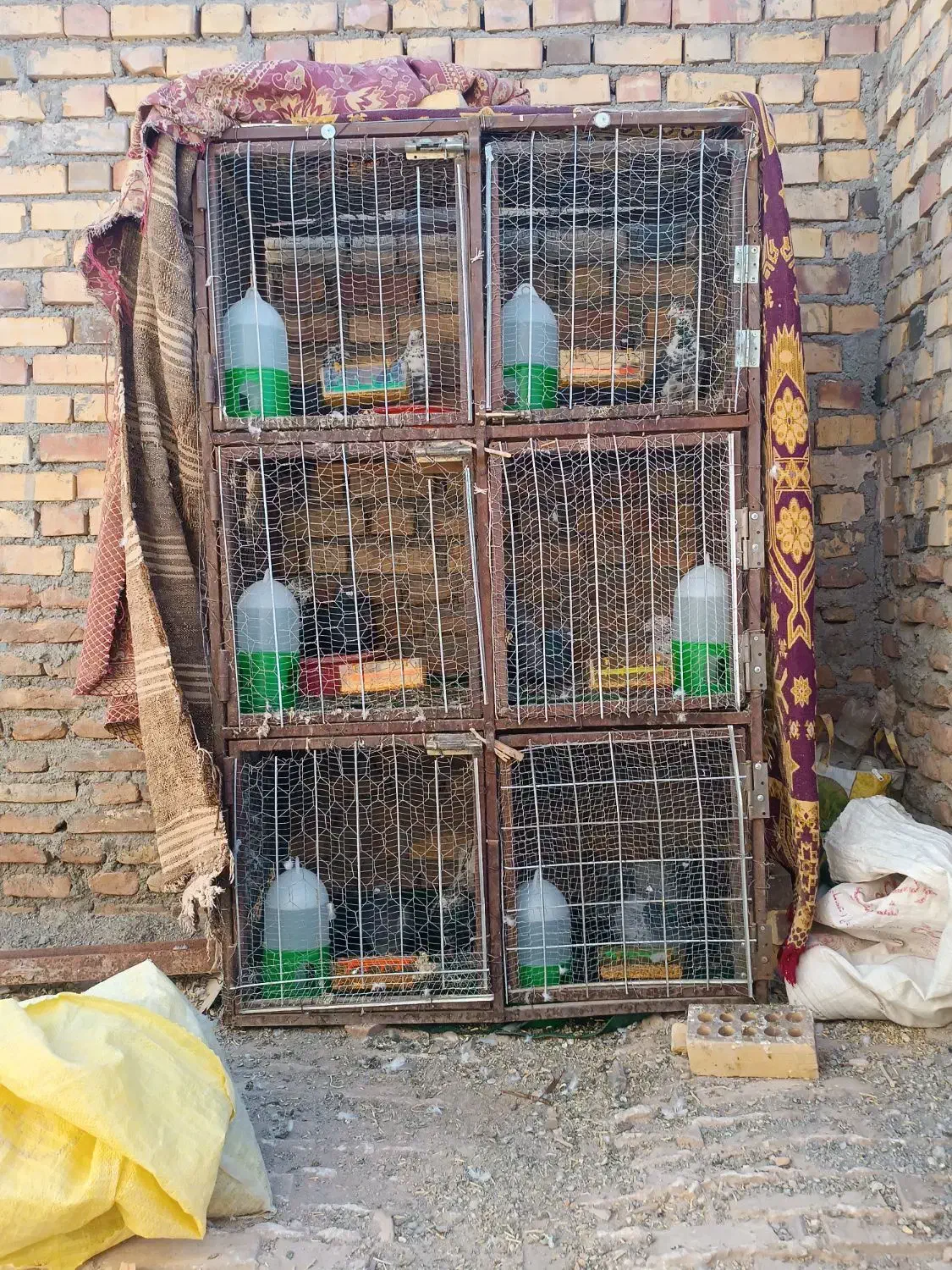 جفتگاه فروشی|لوازم جانبی حیوانات|آیسک, |دیوار