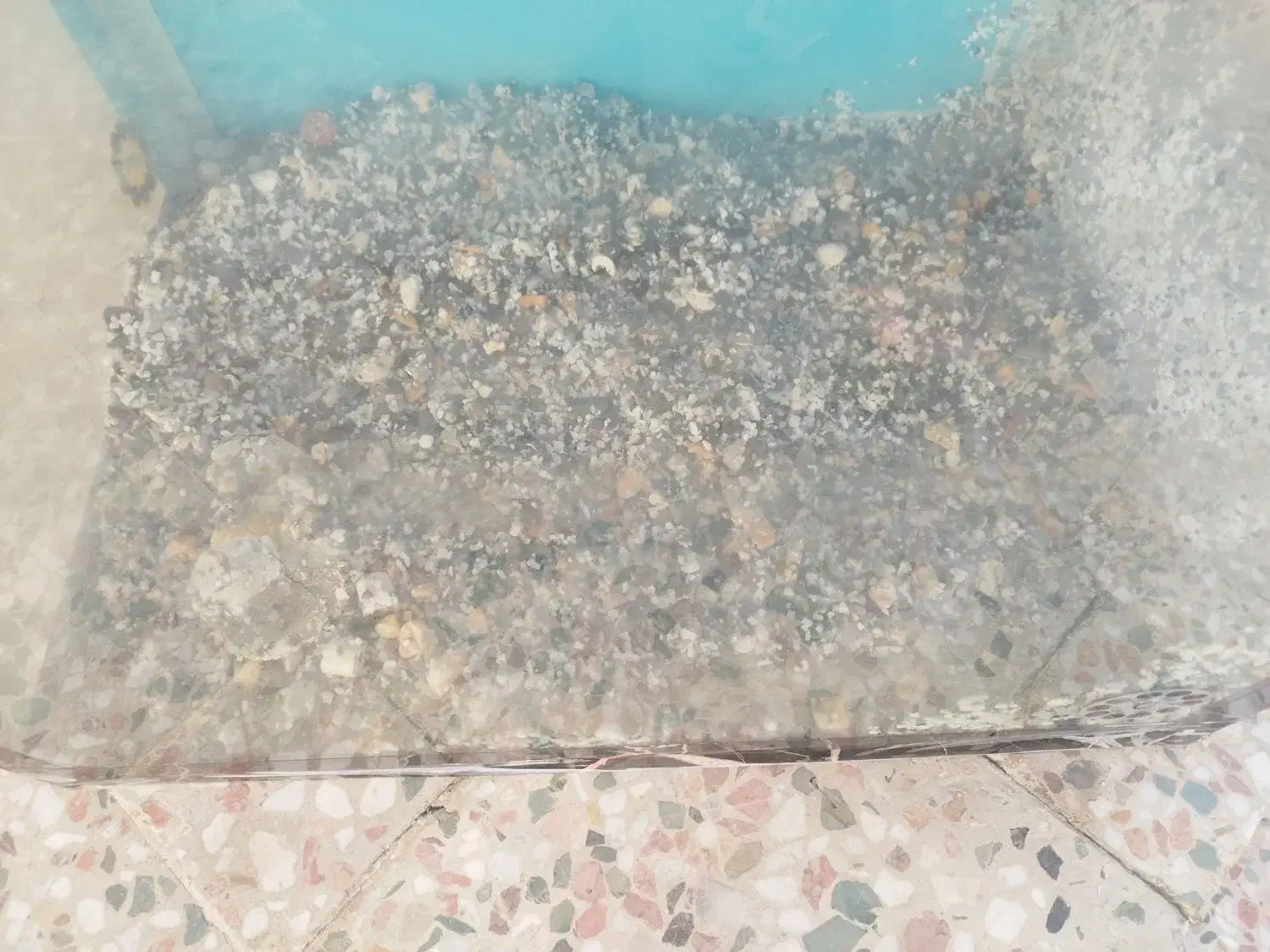 اکواریم|ماهی|خرم‌آباد, |دیوار