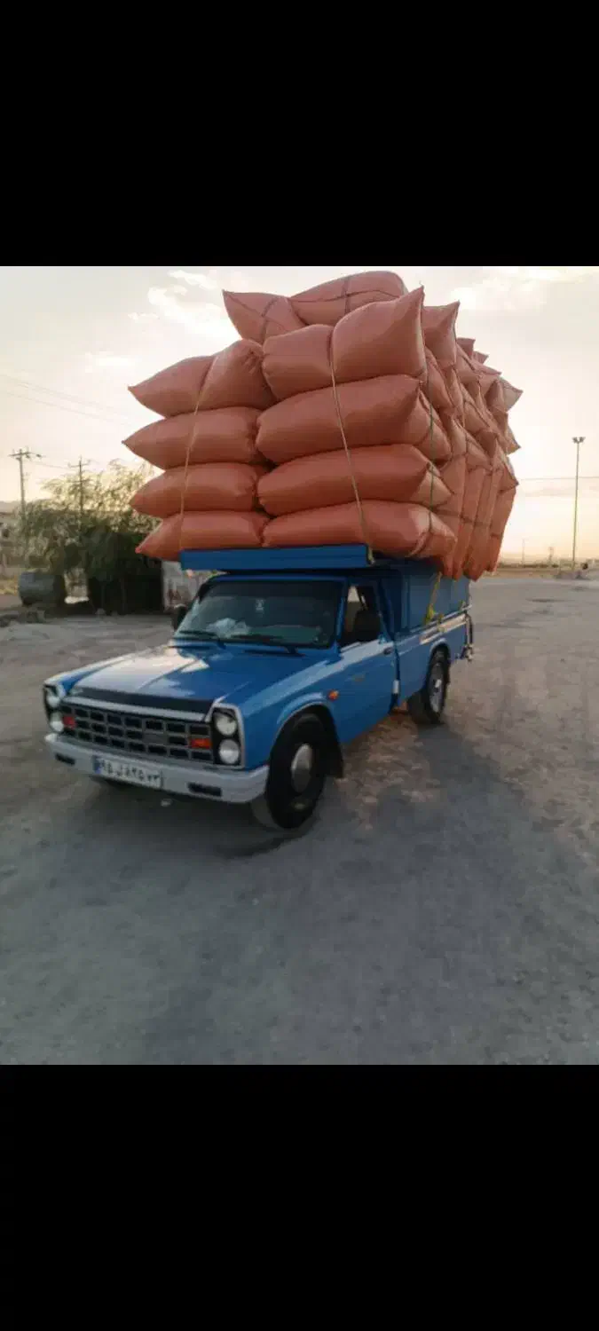 فروش کاه گندم|حیوانات مزرعه|سیرجان, |دیوار