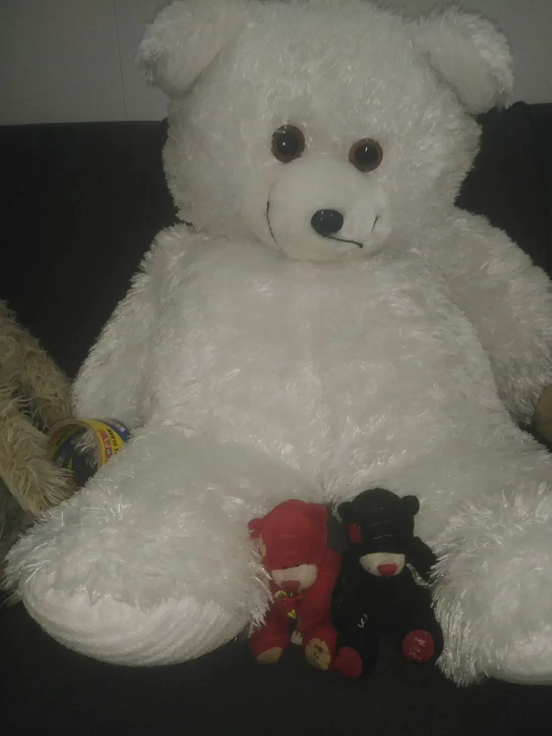 9عدد عروسک فقط یک ملیون|اسباببازی|شیراز, بالا کفت|دیوار