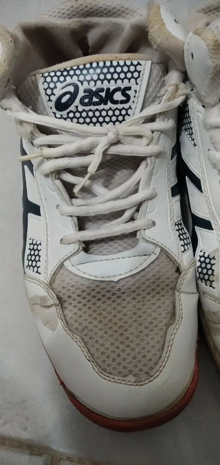 کفش اسپرت|کیف، کفش، کمربند|نیشابور, شهرآرا|دیوار