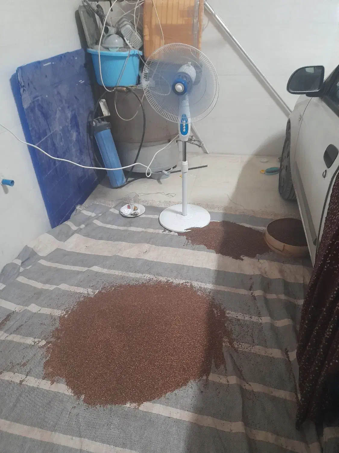 کنجدتمیز|عمدهفروشی|شادگان, |دیوار