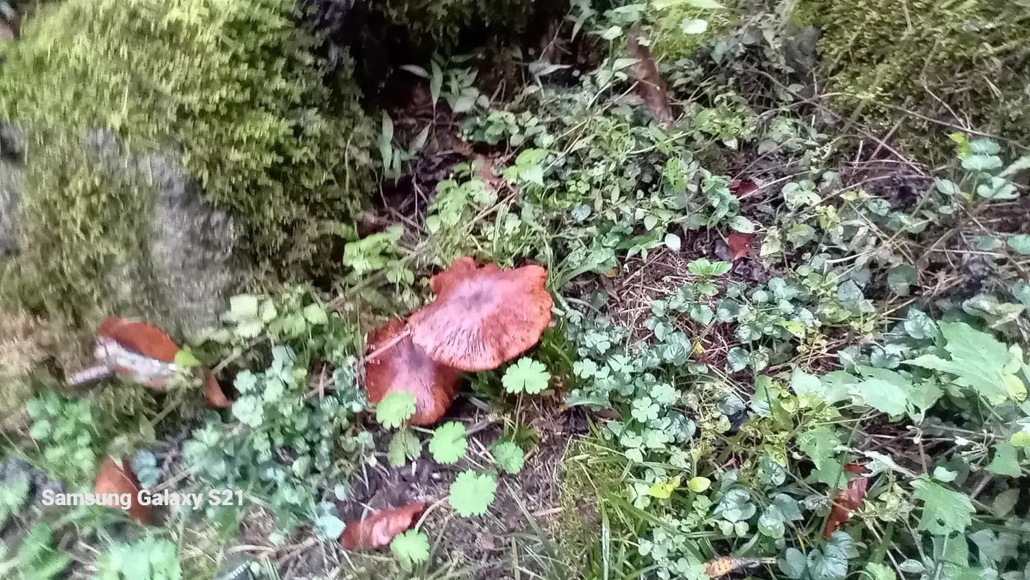 راهنمایی|فعالیت داوطلبانه|ایلام, |دیوار