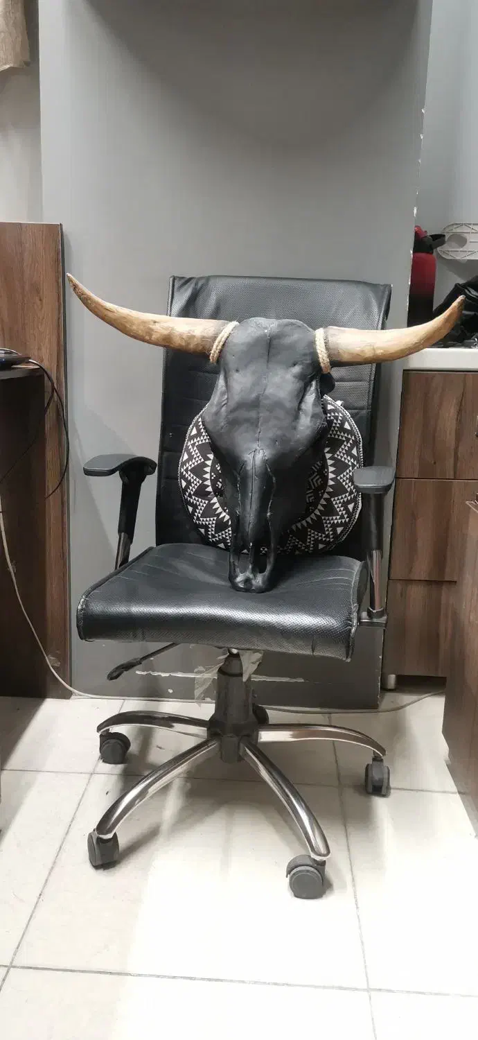 دیوارکوب جمجمه گاو|مجسمه، تندیس، ماکت|یزد, |دیوار