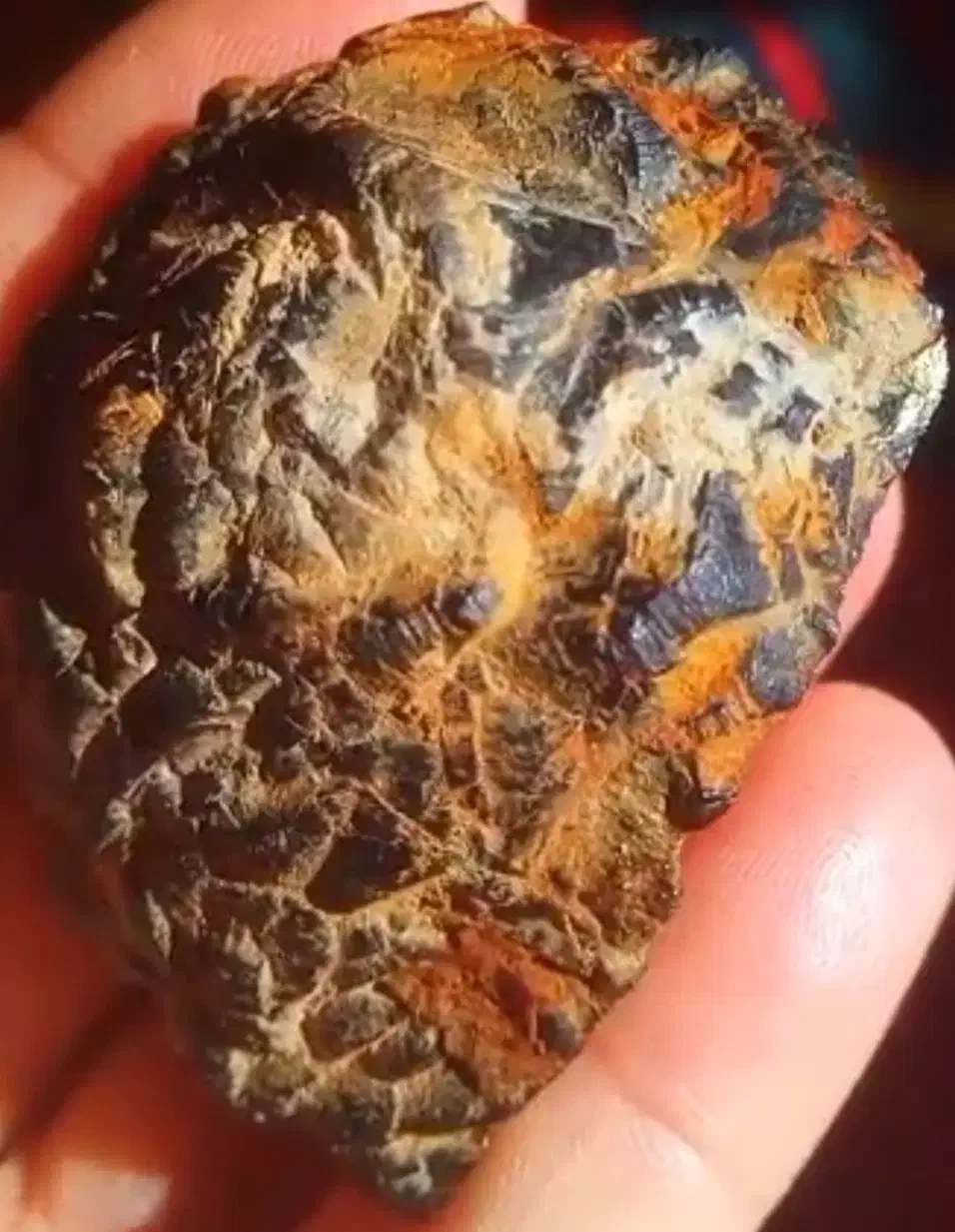 سنگ|کلکسیون اشیاء عتیقه|شیراز, شیخ علی چوپان|دیوار