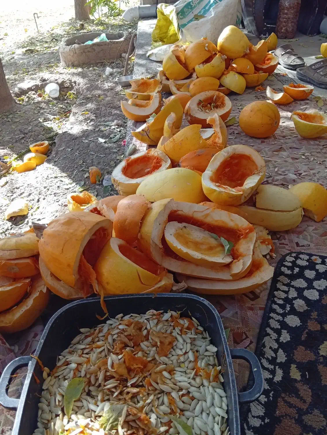 خوراک دام|لوازم جانبی حیوانات|طرقبه, |دیوار