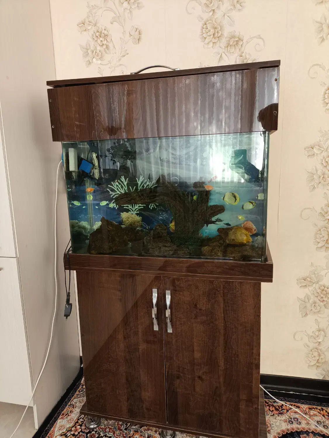 اکواریوم به همراه جاکفشی زیر|ماهی|ری, شهرری|دیوار