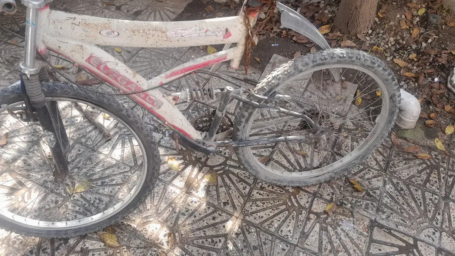 دوچرخه ۲۶|دوچرخه، اسکیت، اسکوتر|تالش, هشتپر|دیوار