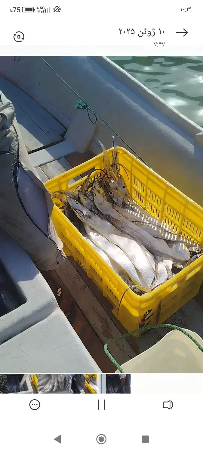 ناخدا هستم همراه ۳تا جانشو|ماهیگیری|بندرعباس, |دیوار