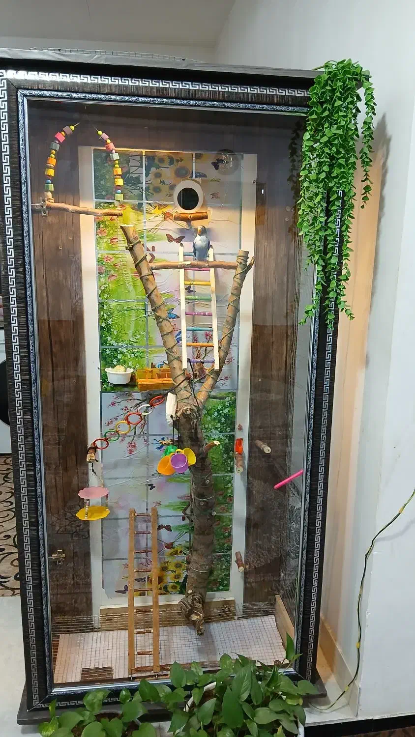 قفس لوازمی پرنده|لوازم جانبی حیوانات|تربت جام, معدآباد|دیوار