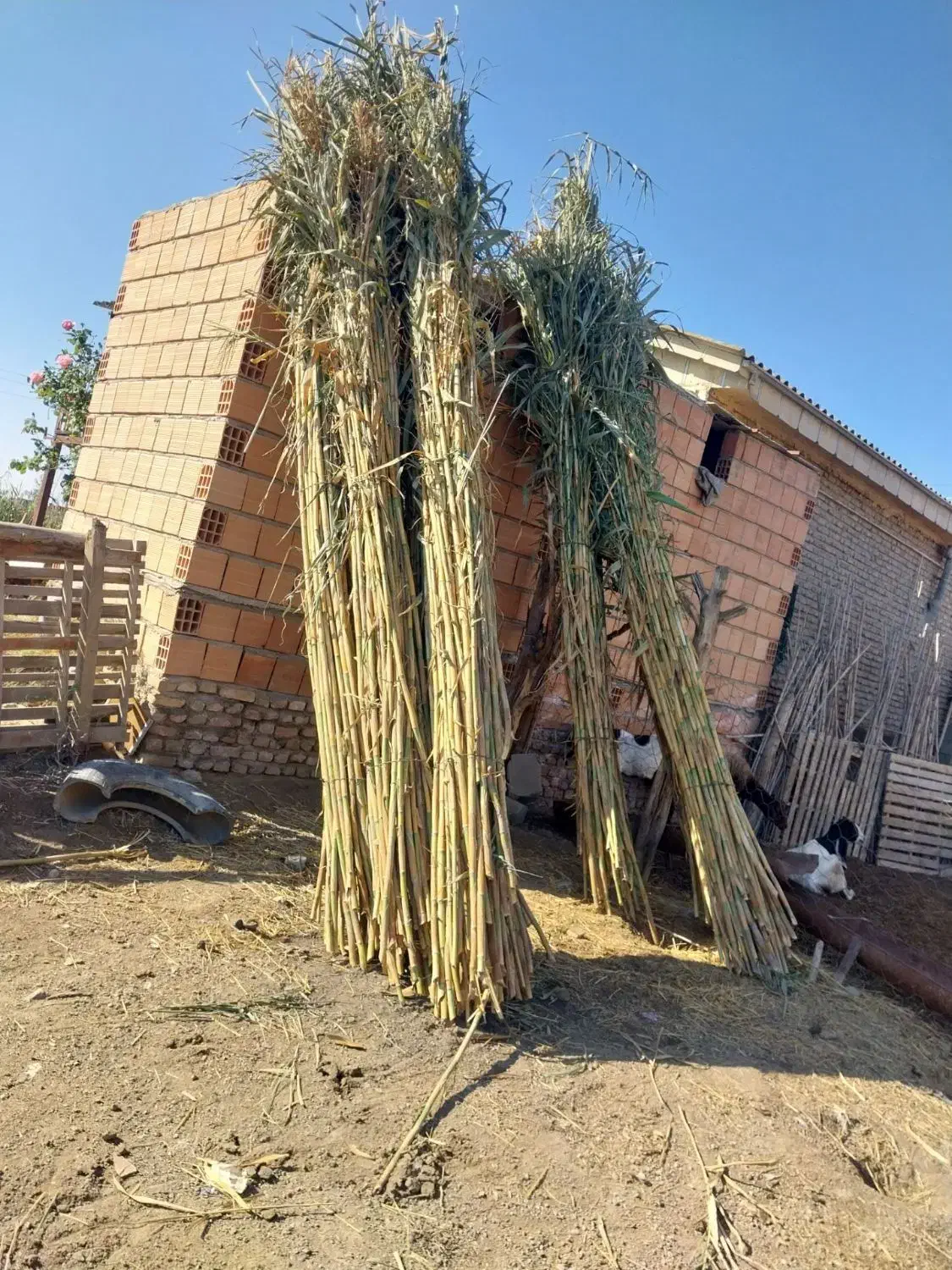 فروشی|مصالح و تجهیزات ساختمان|انبارآلوم, |دیوار