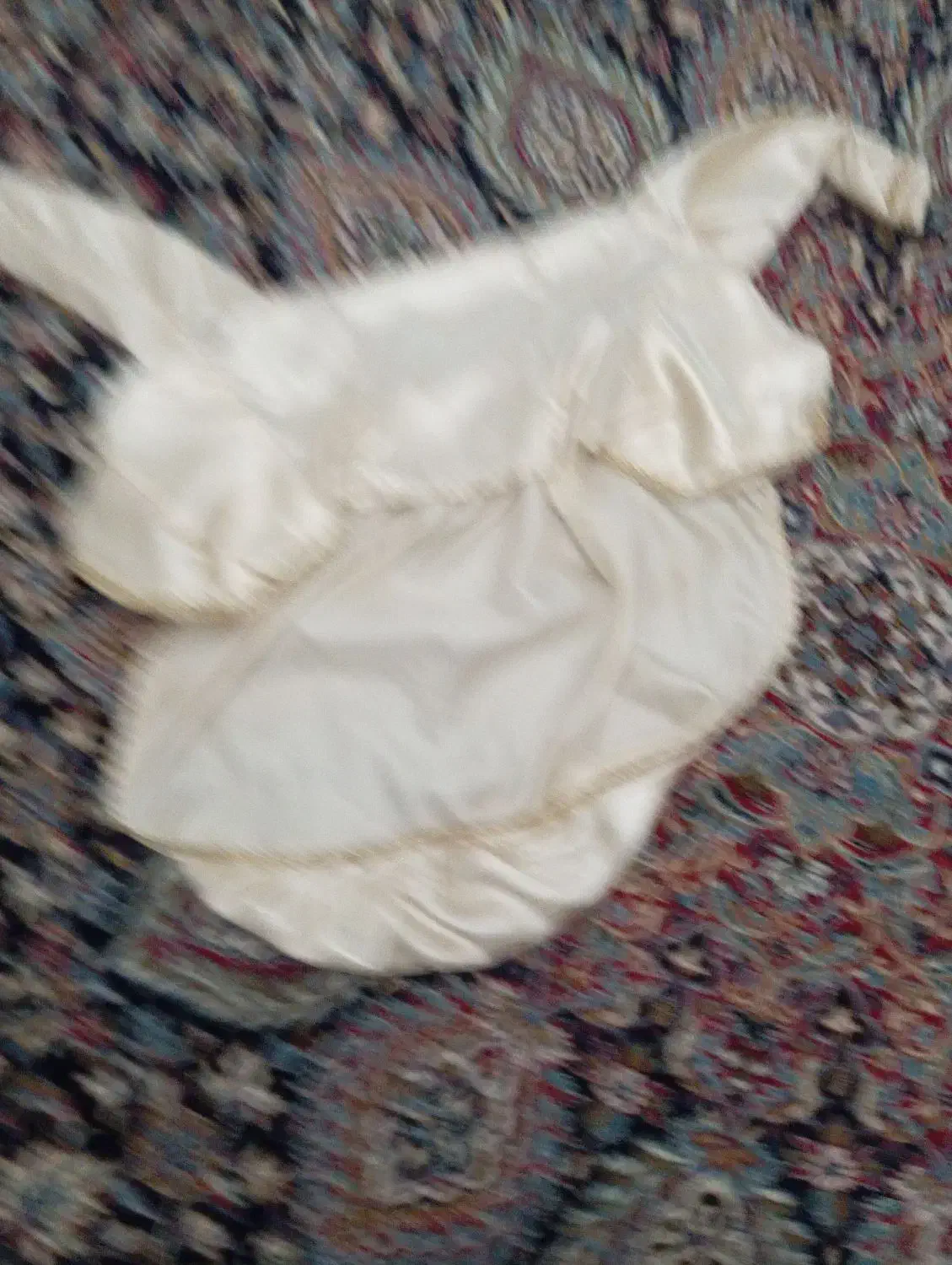 لباس نامزدی|لباس|ایلام, |دیوار