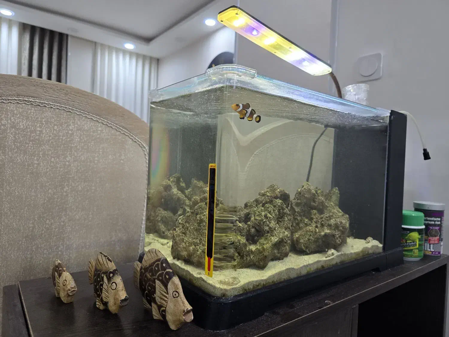 آکواریوم آب شور|ماهی|بندر ماهشهر, |دیوار