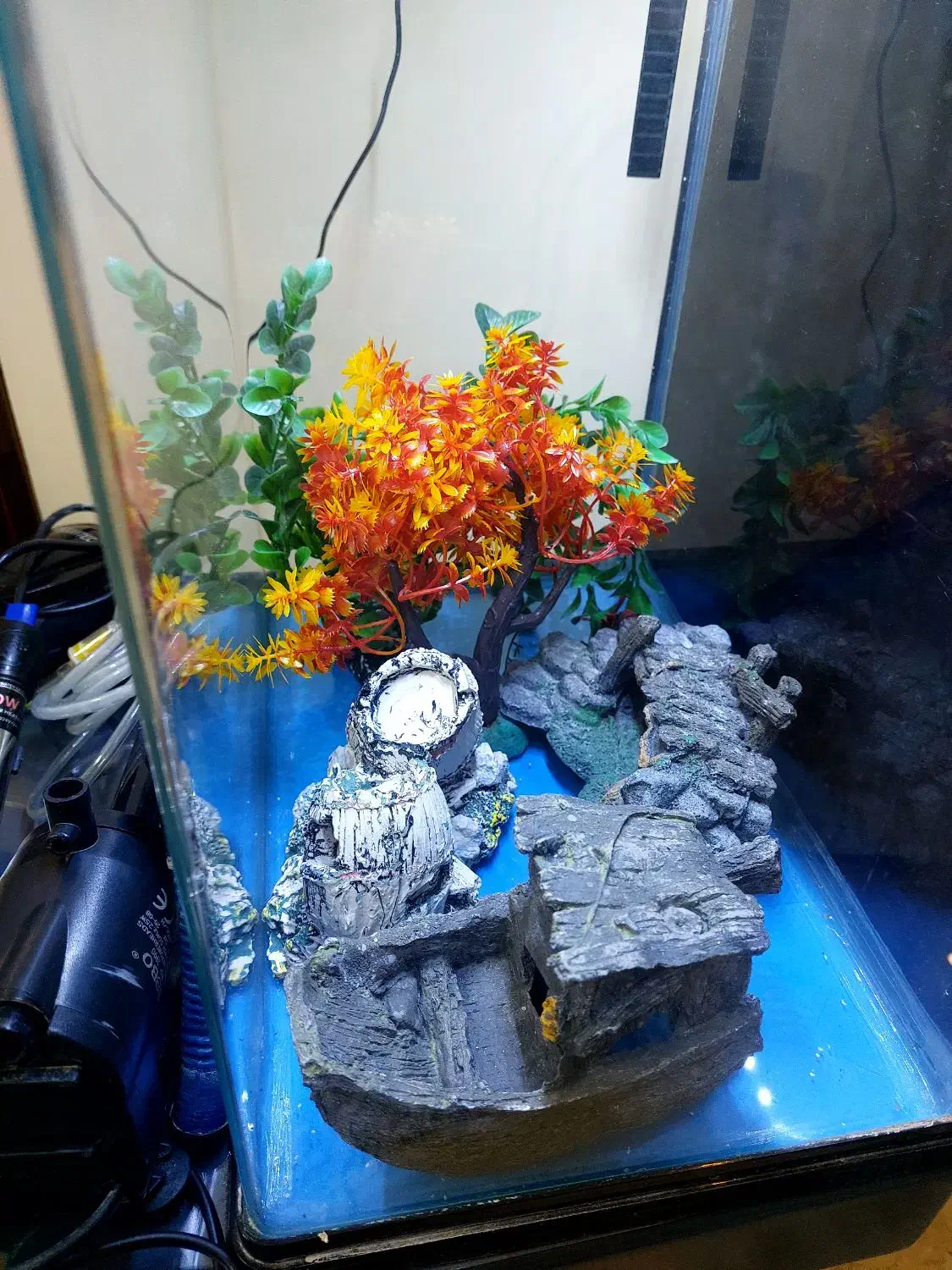 آکواریوم aqua رومیزی|ماهی|تهران, تهرانپارس شرقی|دیوار