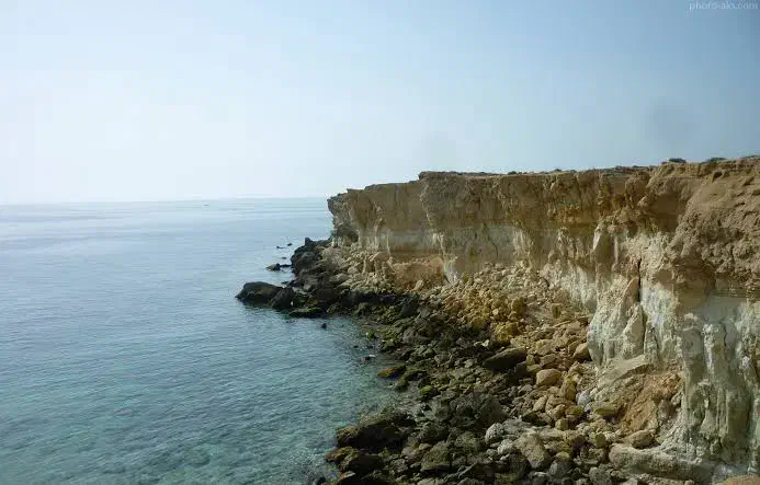 همسفر|گردهمایی و همایش|شیراز, تحویلی|دیوار