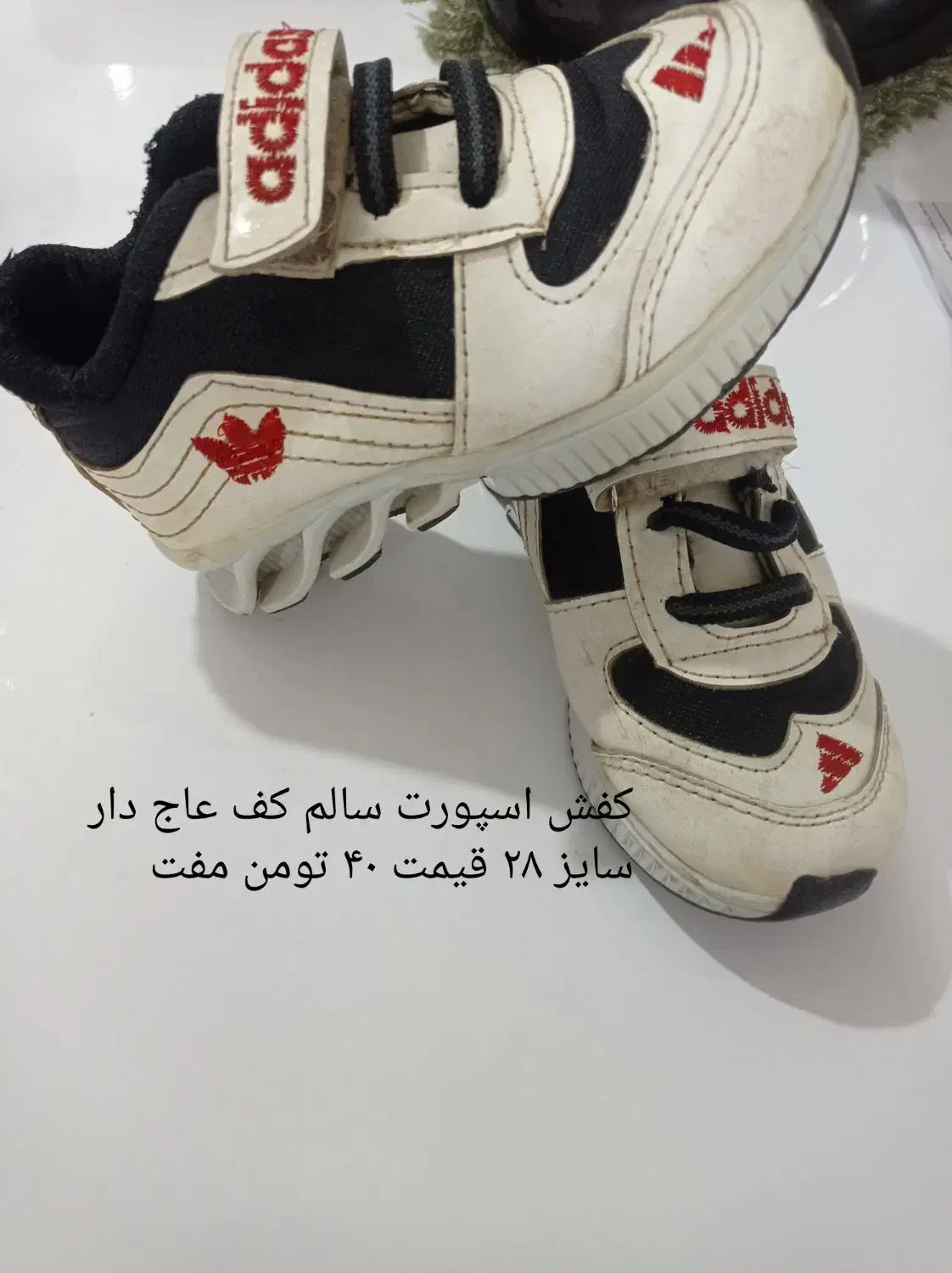 دو جفت کتونی درحدنو فقط ۵۰ تومن|کیف، کفش، کمربند|سبزوار, غرب نیروگاه|دیوار