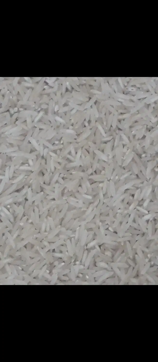 برنج محلی شیروان|خوردنی و آشامیدنی|سیروان, |دیوار