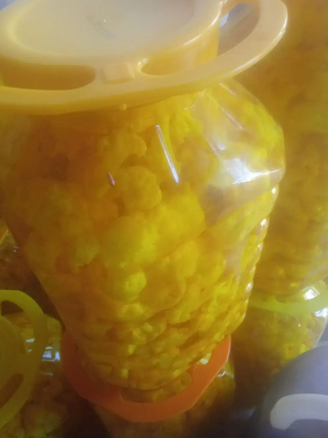 ترشی|خوردنی و آشامیدنی|شیراز, شهرک فرهنگیان|دیوار