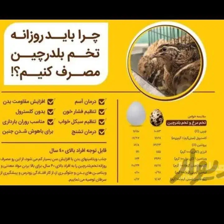 تخم مرغ خونگی تازه وتخم بلدرچین تازه|خوردنی و آشامیدنی|نجف‌آباد, شهدای غربی|دیوار