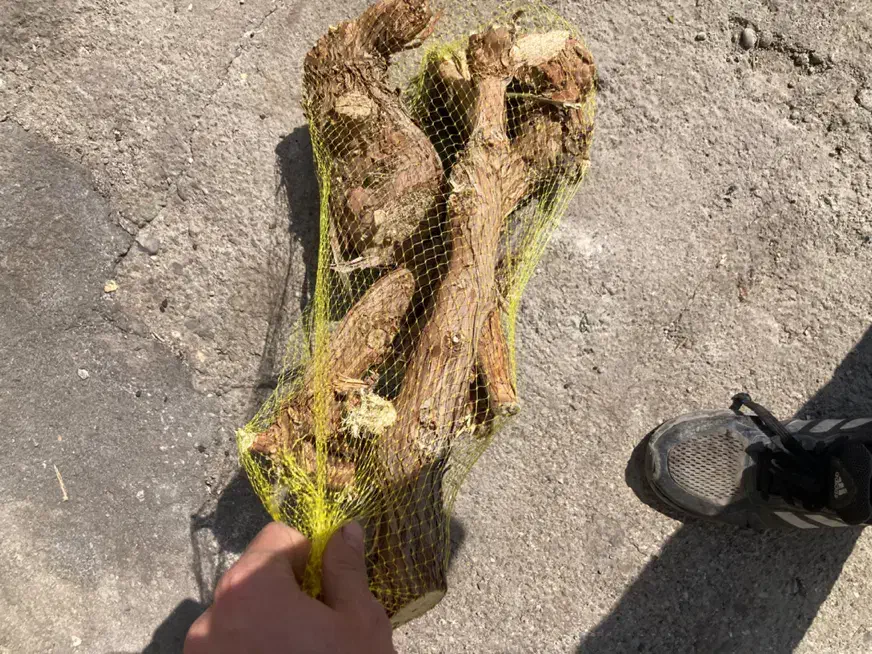 ذغال قلیون و کبابی باغی و جنگلی.|عمدهفروشی|قم, خداکرم|دیوار