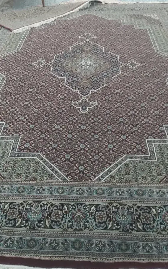فرش ۱۲متری نو|فرش|شیراز, جانبازان|دیوار