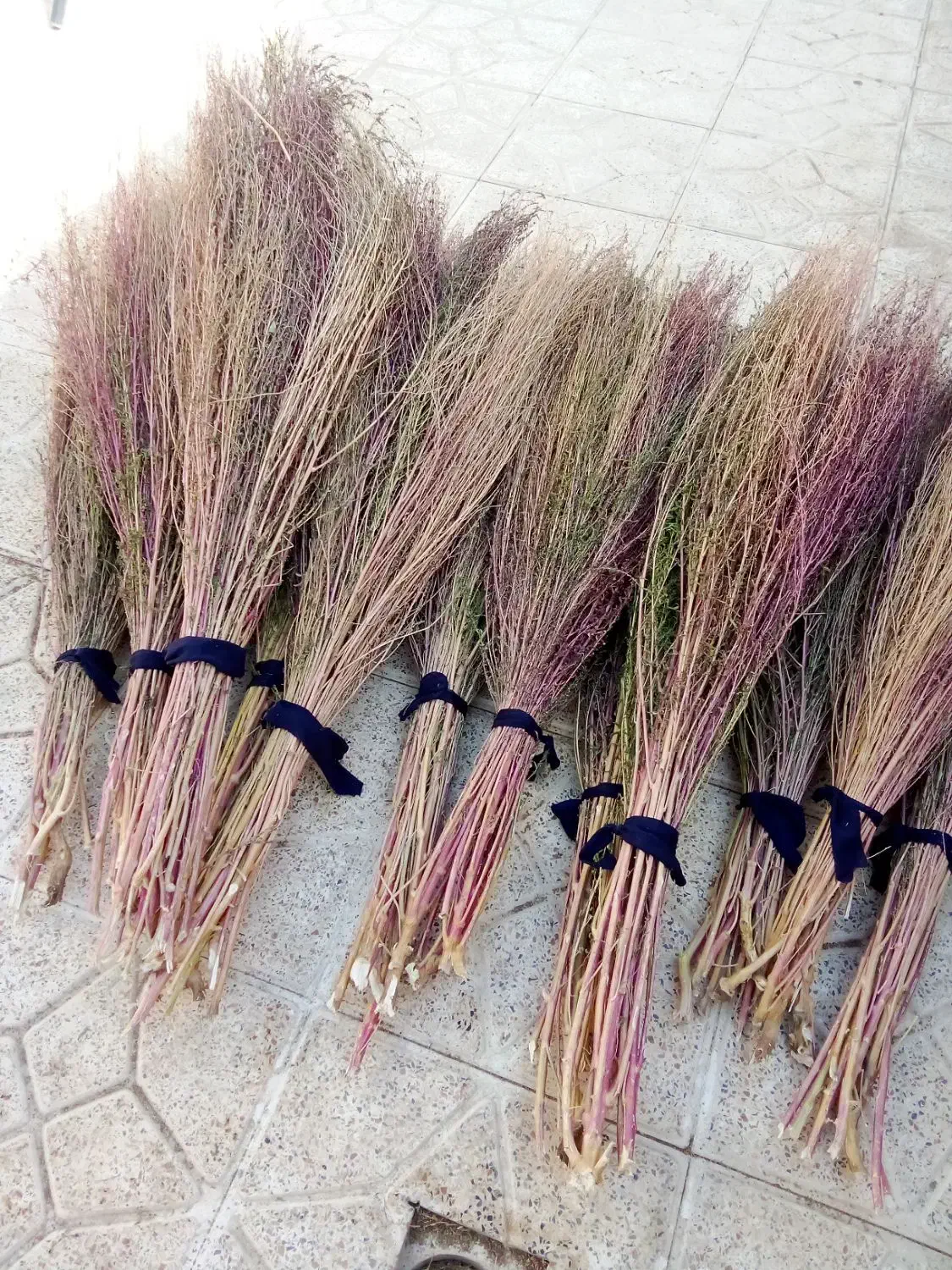 جارو شهرداری|لوازم نظافت|یاسوج, |دیوار