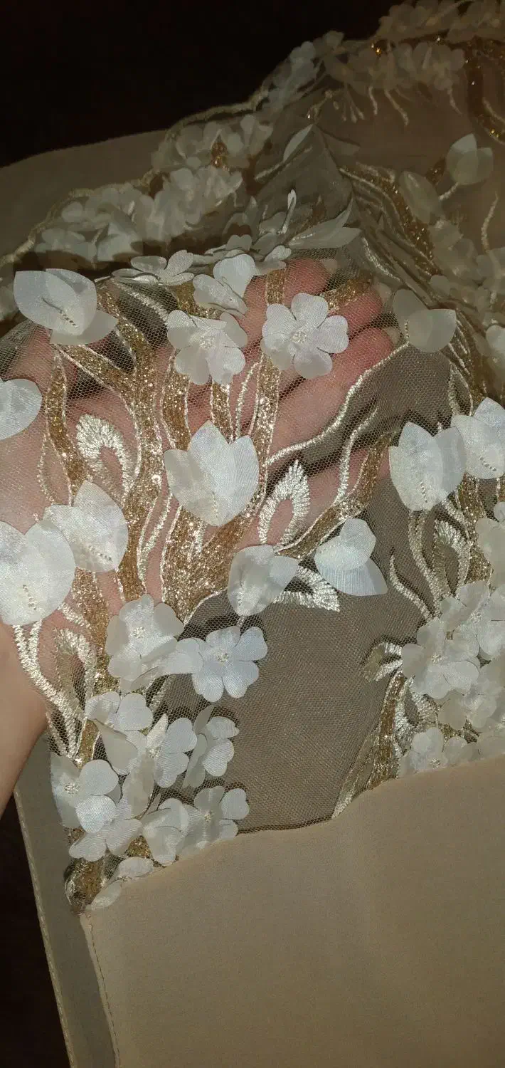لباس مجلسی|لباس|شیراز, شهرک قمشه|دیوار