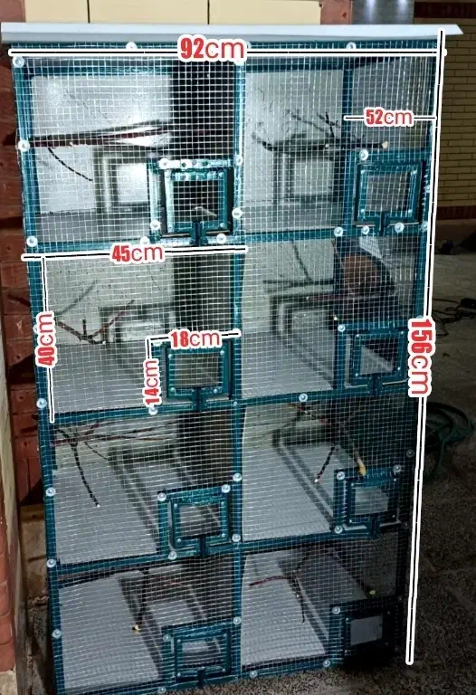 قفس آهنی نو مناسب انواع پرنده|لوازم جانبی حیوانات|سیرجان, |دیوار