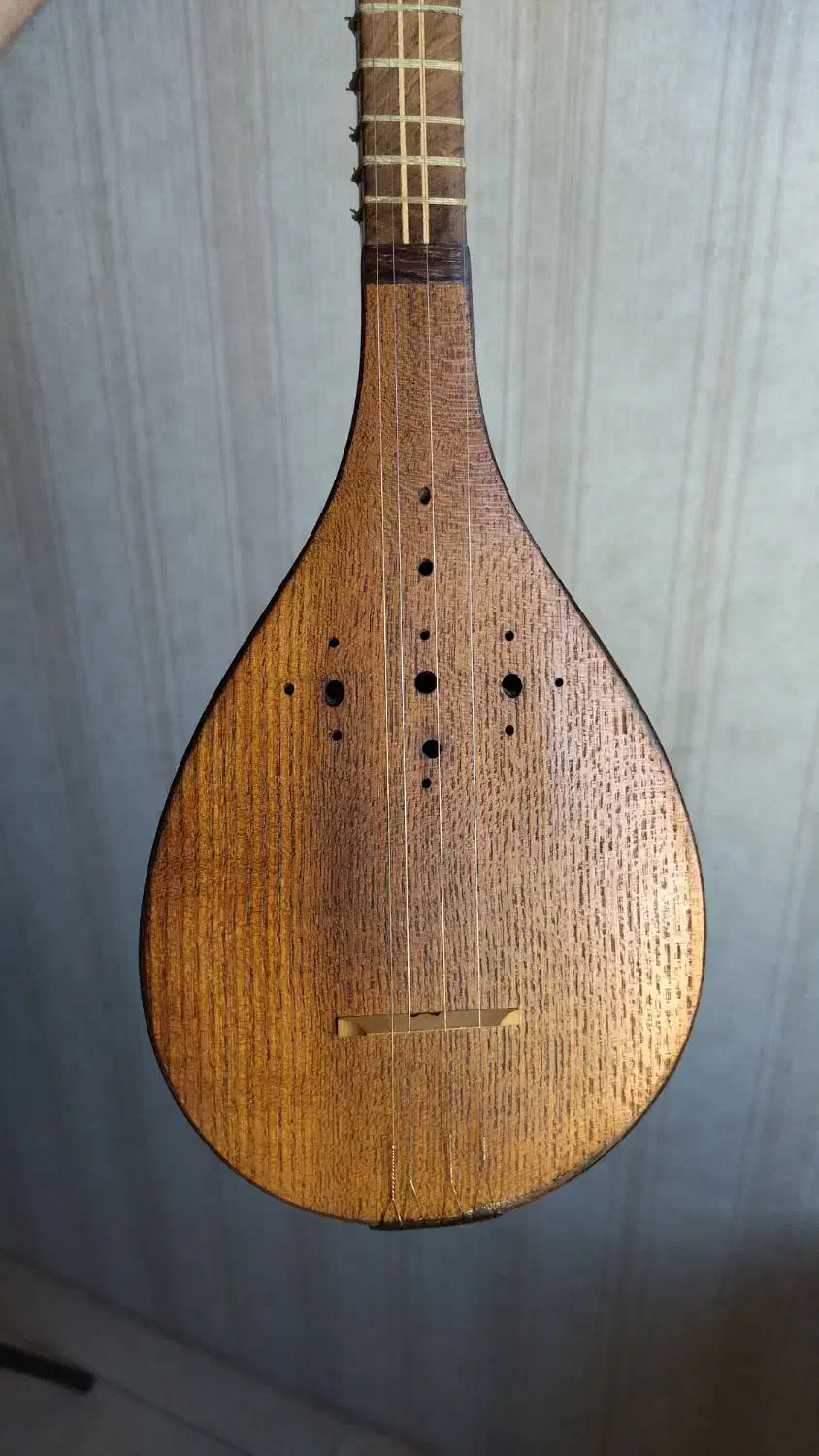 سه تار سارا حرفه ای|سازهای سنتی|تبریز, |دیوار