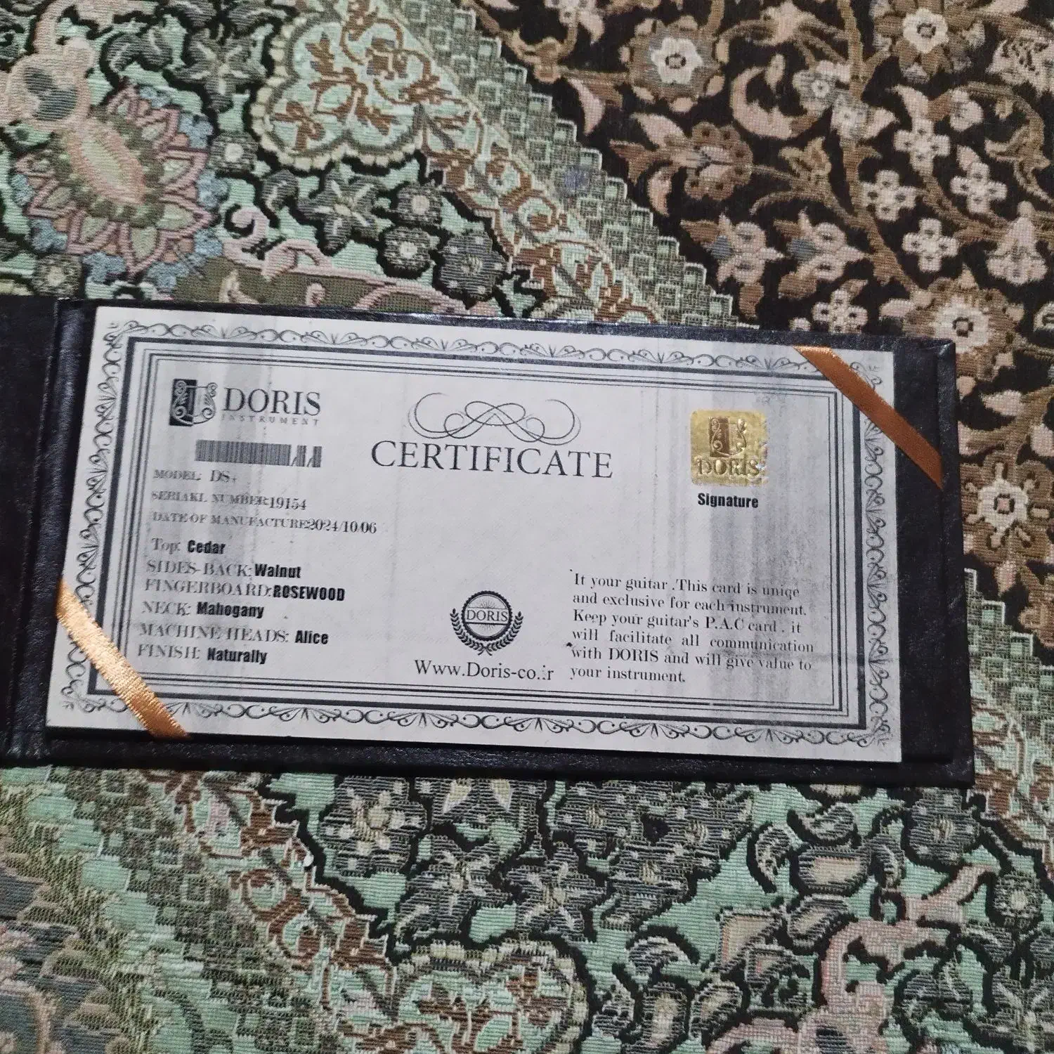 گیتار دست ساز Doris DS+|گیتار، بیس، امپلیفایر|میناب, |دیوار