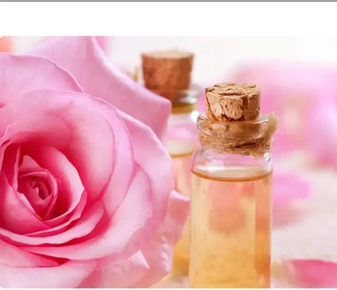 روغن گل محمدی|آرایشی، بهداشتی، درمانی|شیراز, پودنک|دیوار