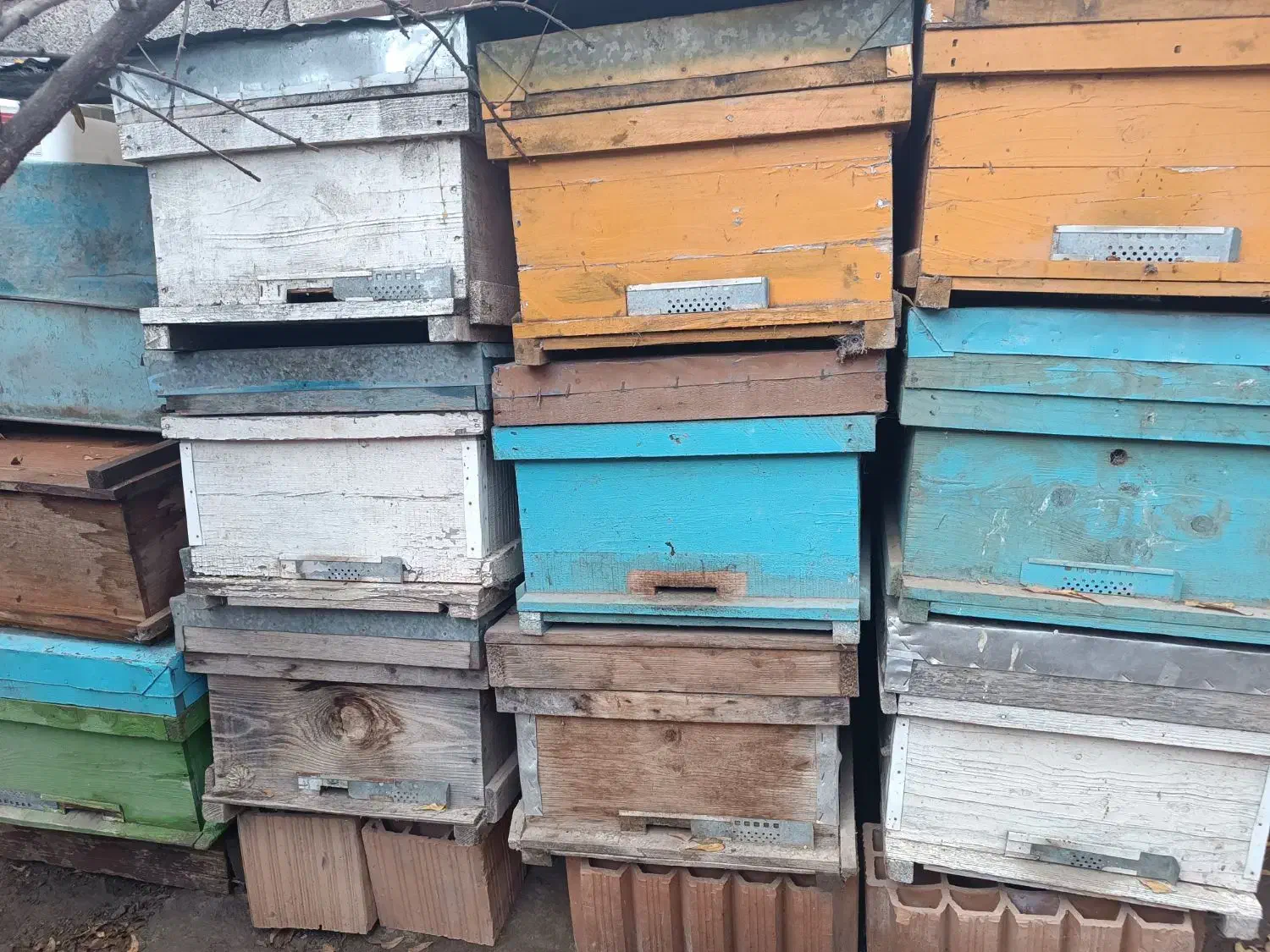 فروش فنس و کندو زنبور عسل|لوازم جانبی حیوانات|آق قلا, |دیوار