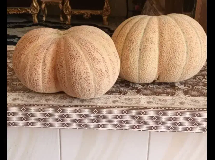 تخمه طالبی|خوردنی و آشامیدنی|زرندیه, |دیوار