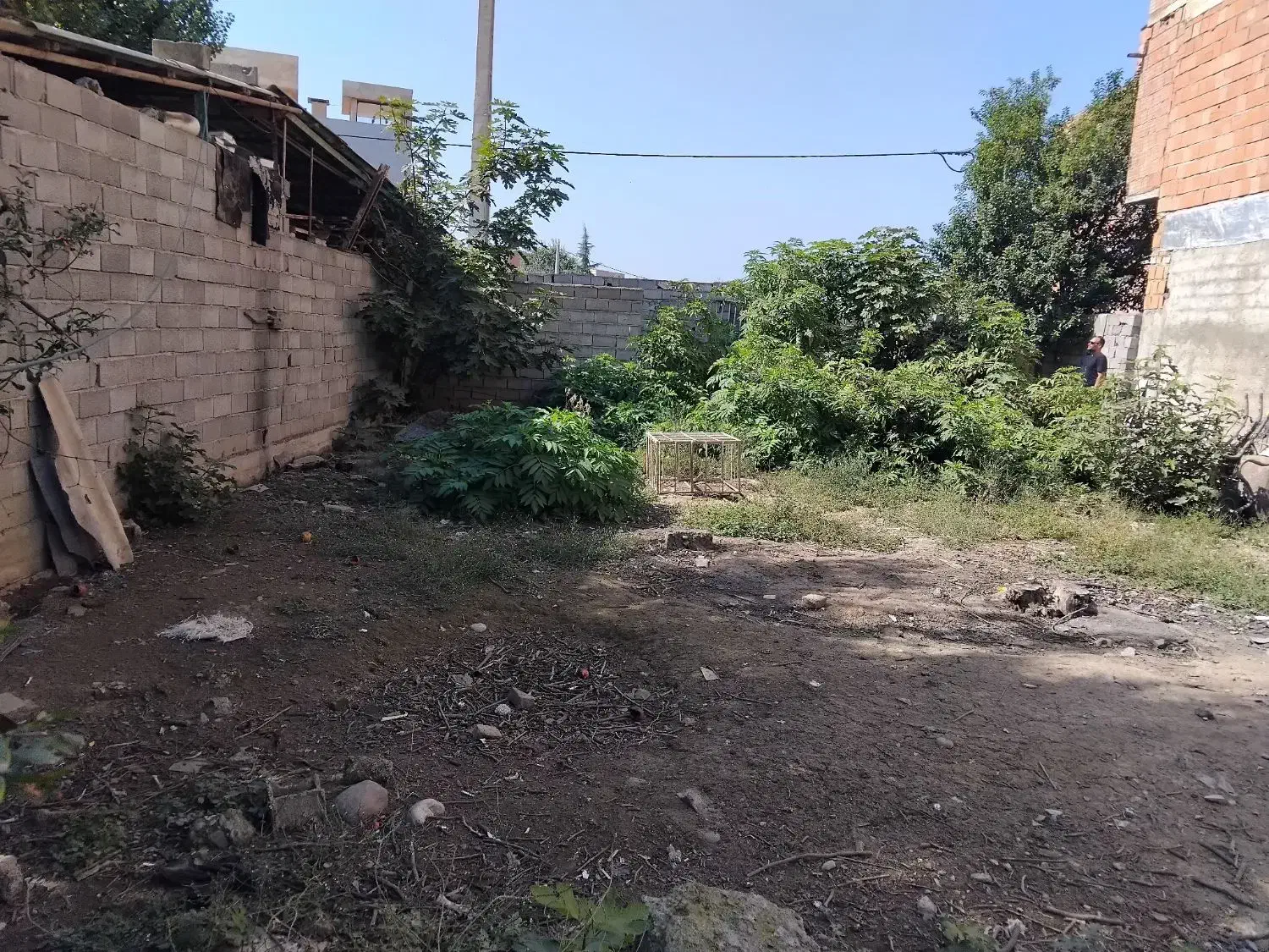 فروش یه قطعه زمین مسکونی|فروش زمین و ملک کلنگی|قائم‌شهر, |دیوار