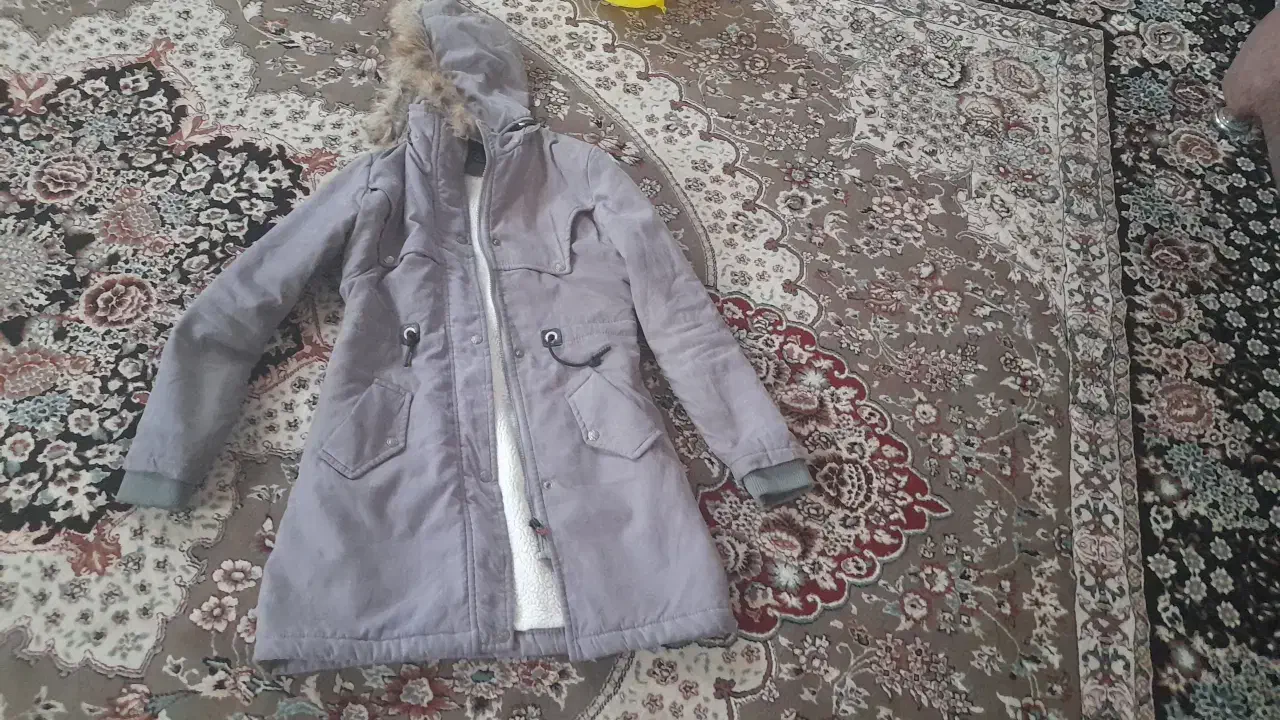 پالتو|لباس|بیرجند, |دیوار