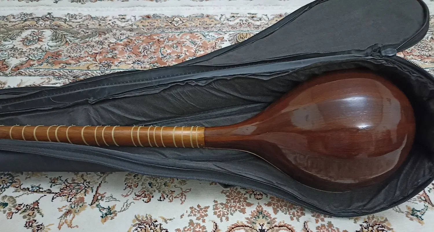 سه تار|سازهای سنتی|بهارستان, |دیوار