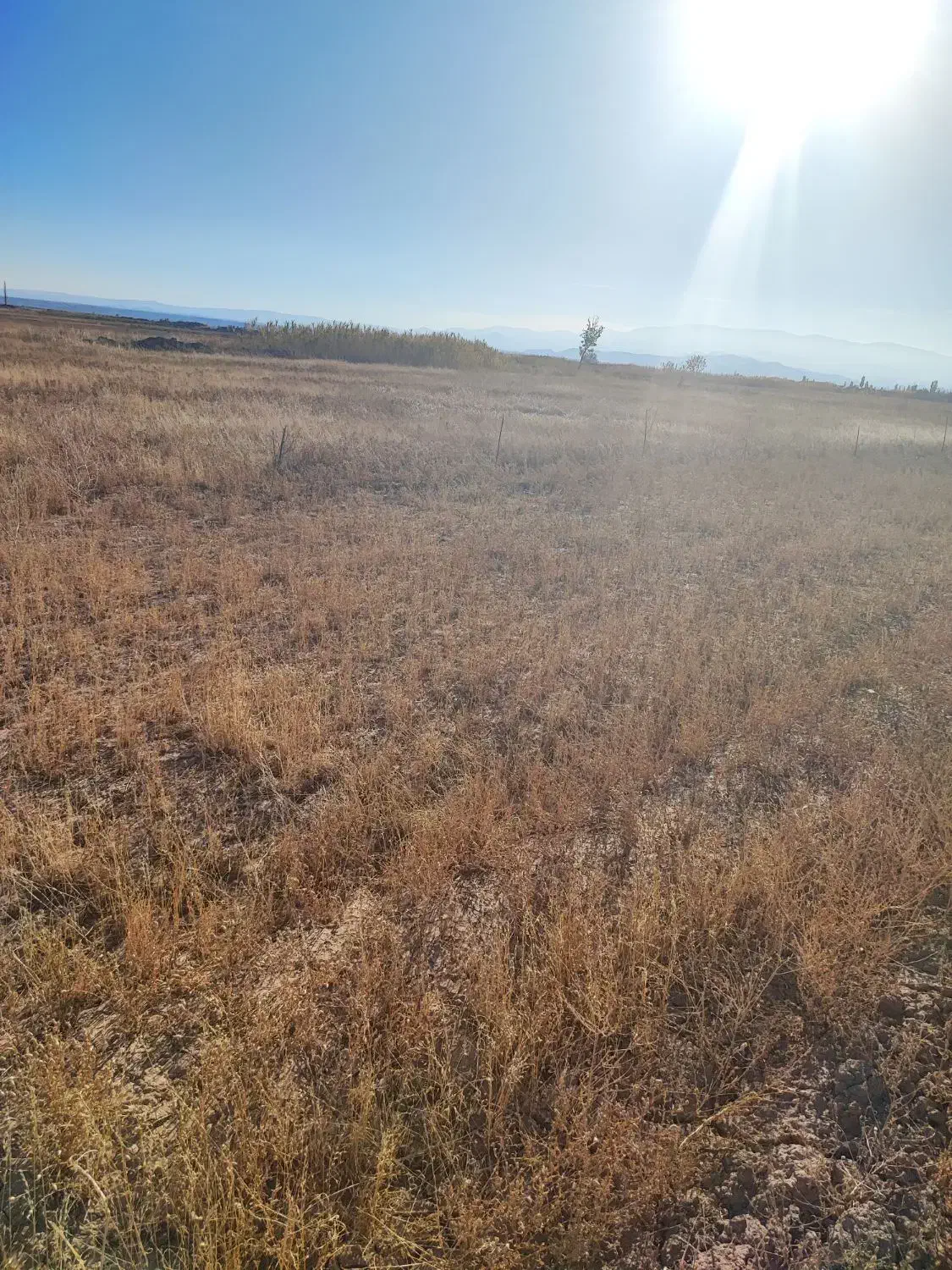 زمین کشاورزی بسیار مرغووب|فروش زمین و ملک کلنگی|پلدشت, |دیوار