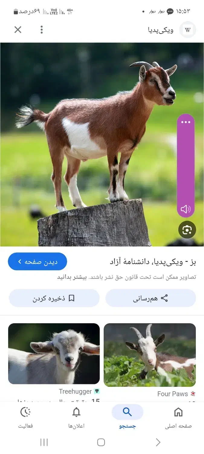 قصابی سیار|خدمات پیشه و مهارت|بوشهر, |دیوار