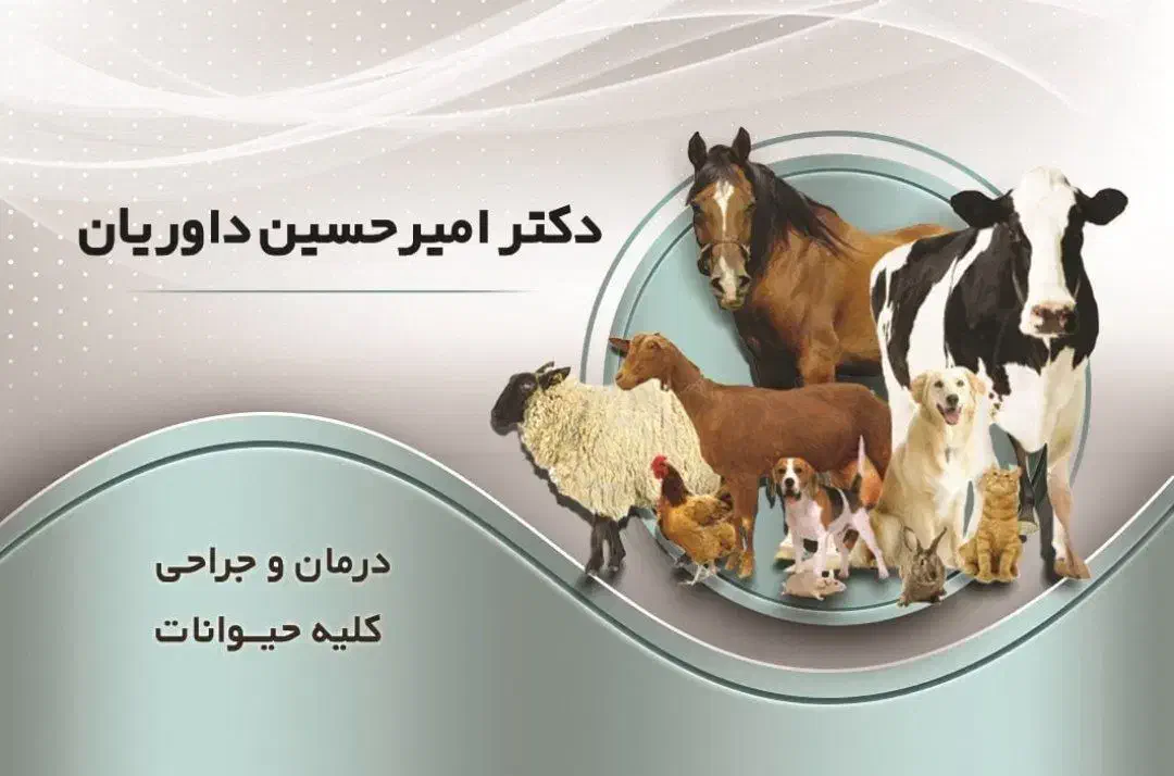 دامپزشک ودامپزشکی در محل وکلینیک|خدمات آرایشگری و زیبایی|همدان, |دیوار