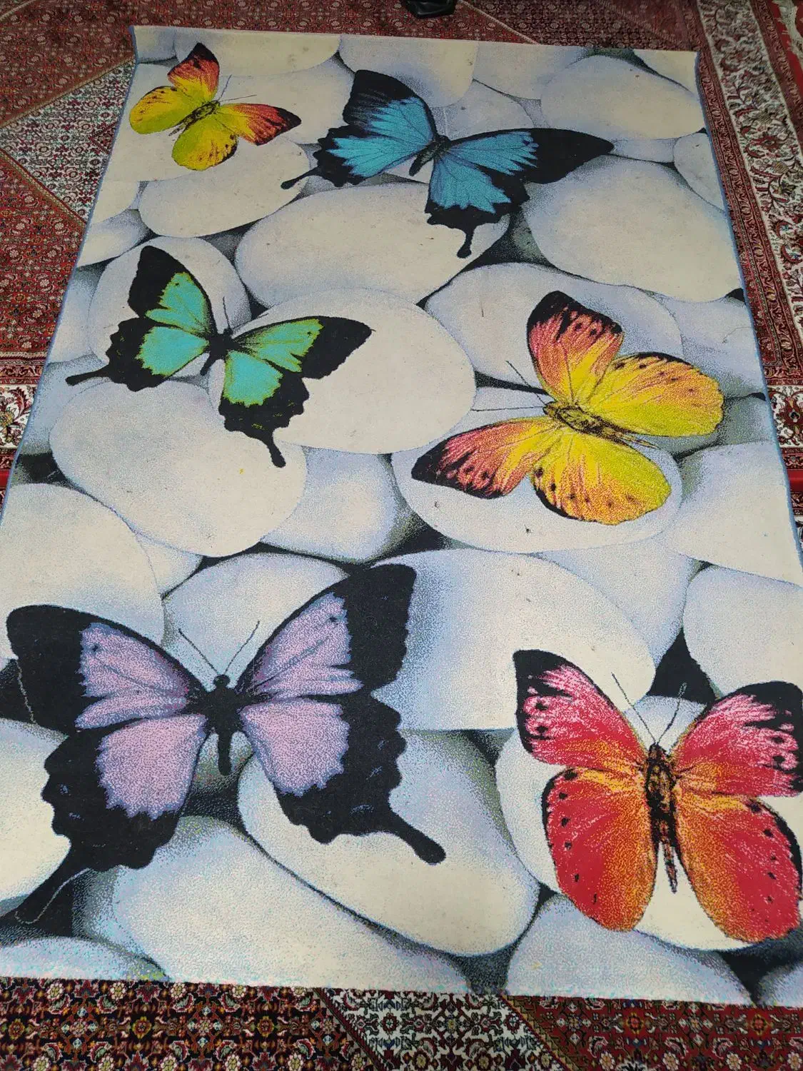 فرش اتاق خواب|فرش|زنجان, |دیوار