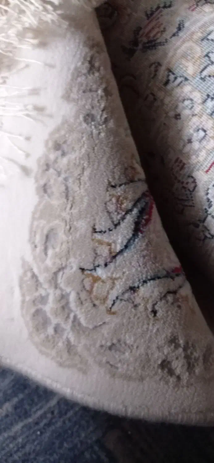 فرش|فرش|گرگان, |دیوار