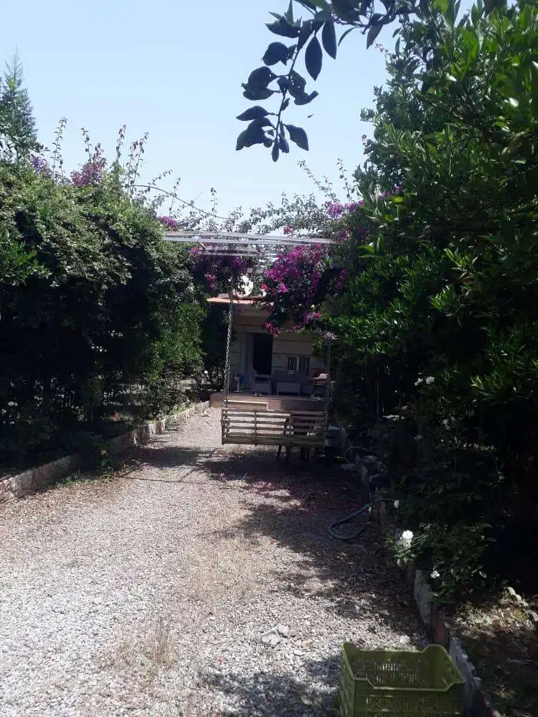 ۳۰۰۰ متر باغ میوه|فروش زمین و ملک کلنگی|تهران, زعفرانیه|دیوار