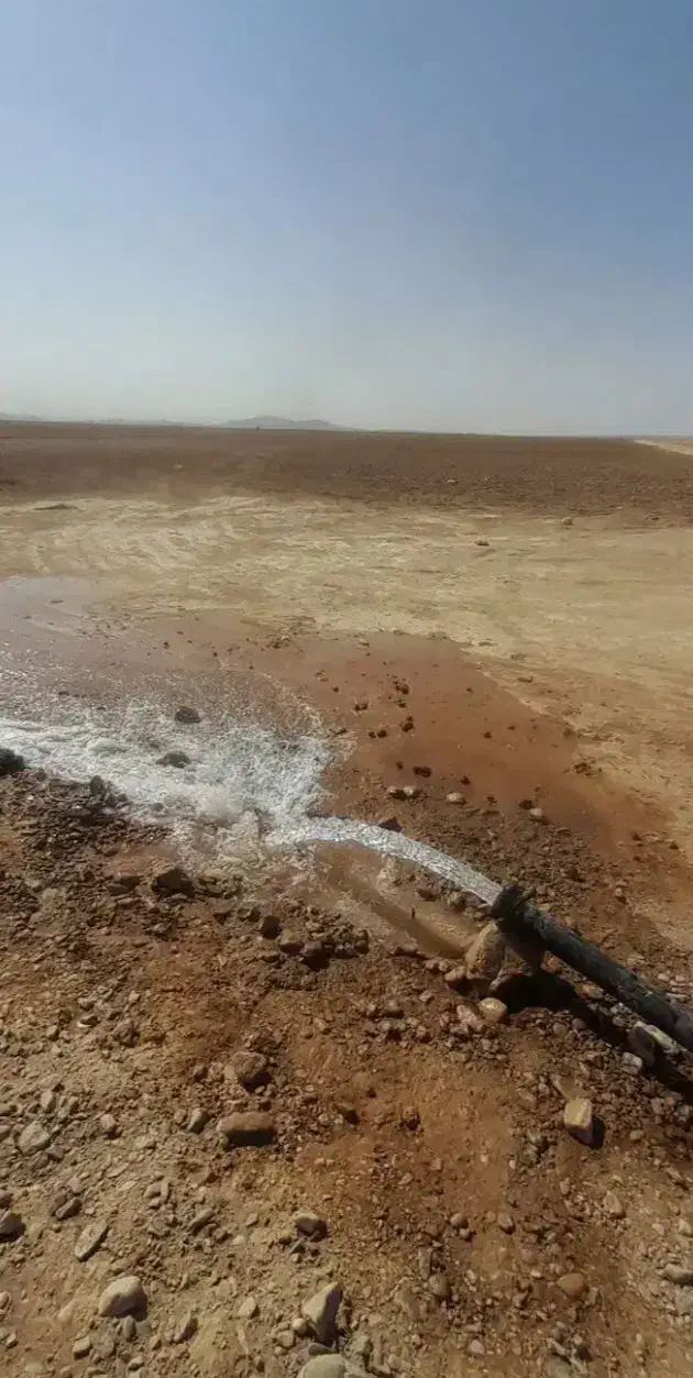 زمین کشاورزی با چاه آب|اجارهٔ دفتر صنعتی، کشاورزی، تجاری|گلبهار, بیزکی|دیوار