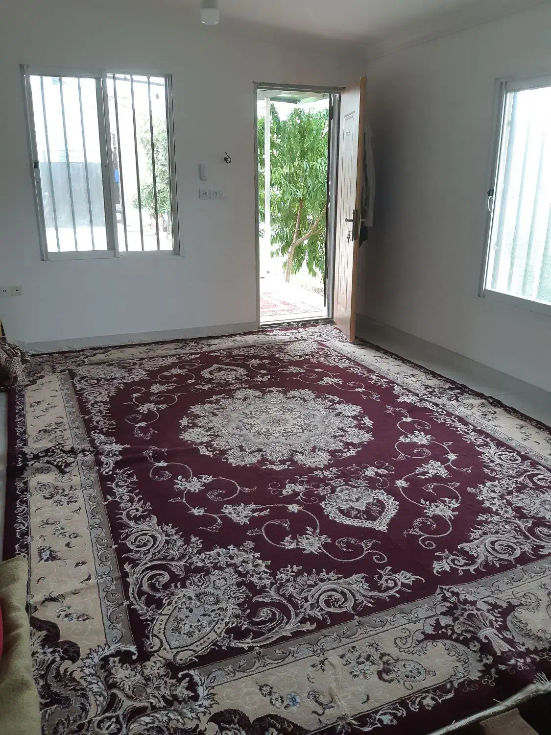 فرش ۱۲ متری|فرش|گرگان, |دیوار