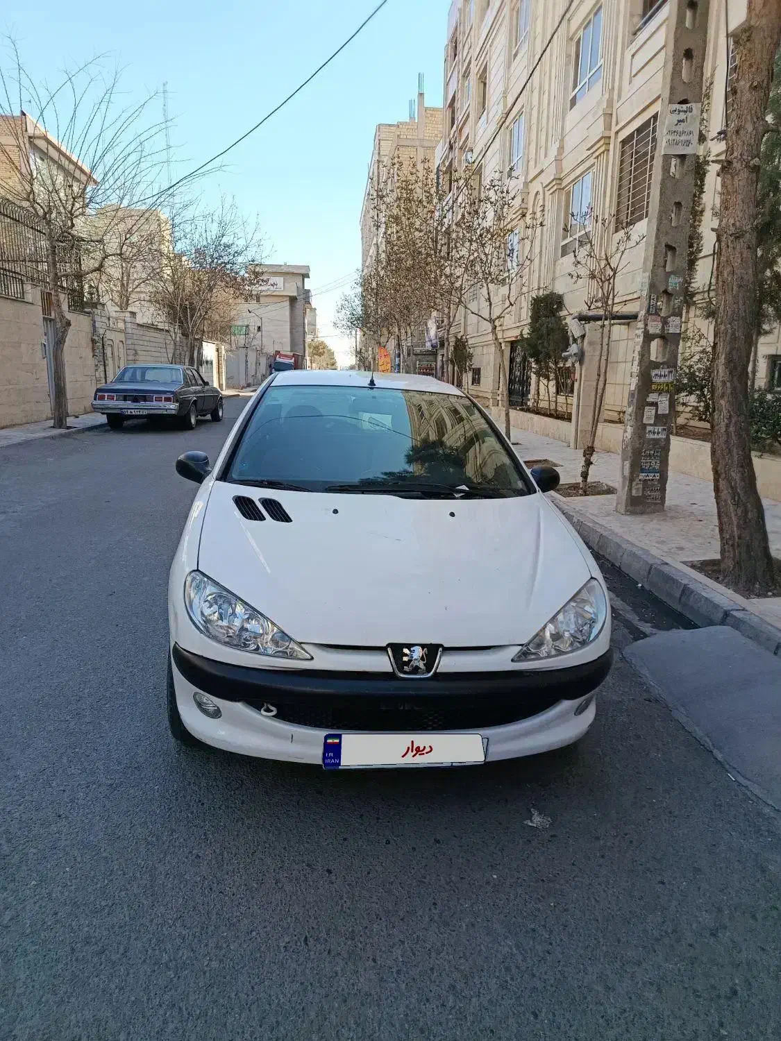 پژو ۲۰۶ مدل ۹۹|خودرو سواری و وانت|فردیس, شهرک ارم|دیوار