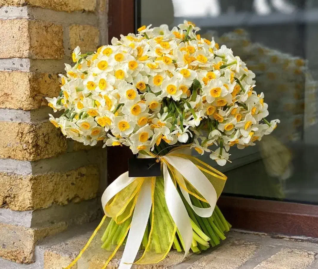 گل نرگس|گل و گیاه طبیعی|اهواز, کیانپارس |دیوار