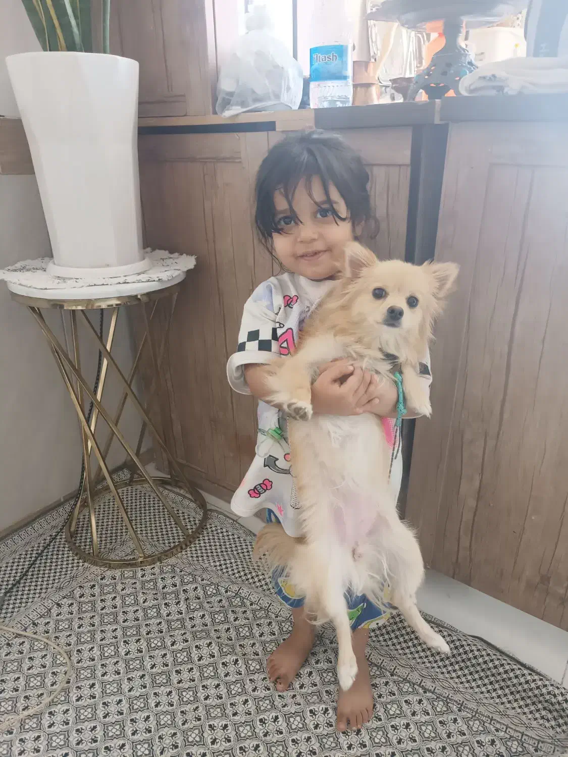 سگ پامر|سگ|پاکدشت, پاکدشت (مامازند)|دیوار