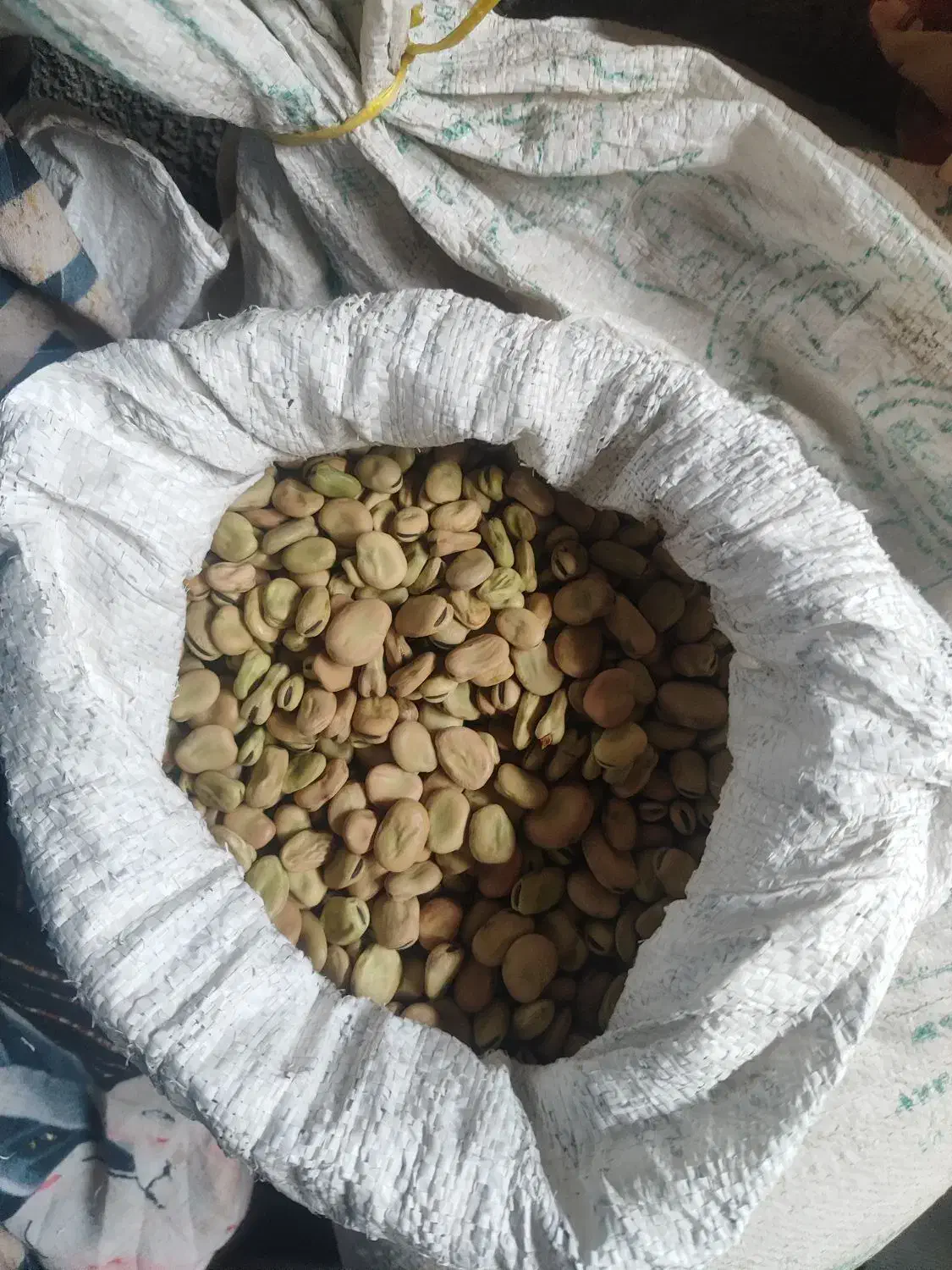 پاغلا|خوردنی و آشامیدنی|مهربان, |دیوار