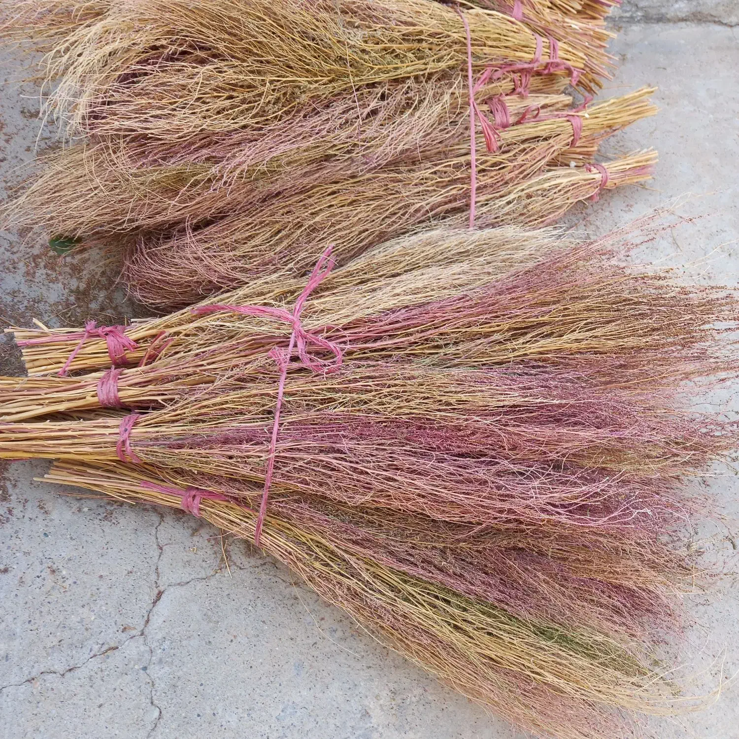 جاروی دستی|لوازم نظافت|میاندوآب, |دیوار