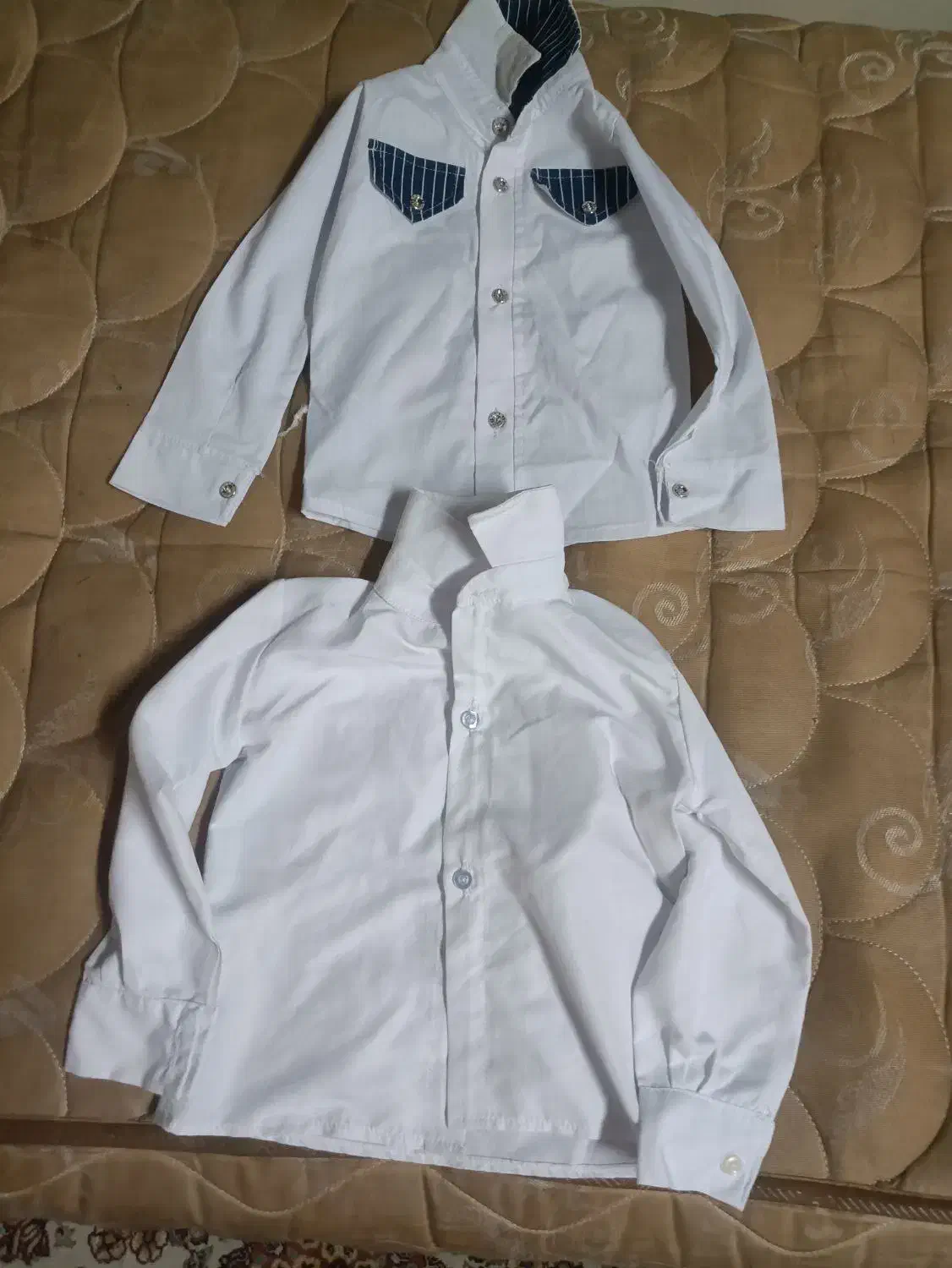 پالتو زنانه|لباس|مرند, |دیوار